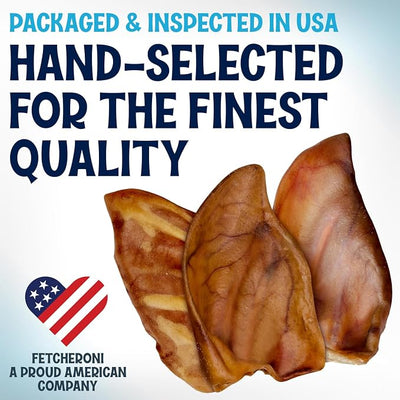 FETCHERONI Whole Pig Ears for Dogs Large - 100 Pack Long Lasting Dog Chews - One Ingredient Delicious All Natural Flavor – Easy to Digest Dog Treat for Large Dogs - Great for Teeth and Gums