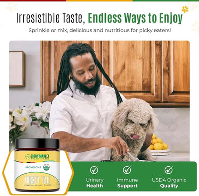 Ziggy Marley's USDA Organic Turkey Tail Mushroom Powder for Dogs & Cats – Support Immunity & Digestion – Fruiting Body Extract, 90 Grams