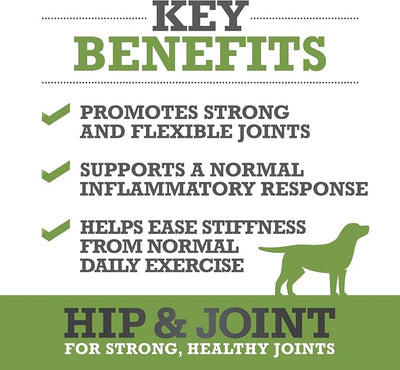 WINPRO Hip & Joint Supplement for Dogs Plasma Powered Soft Chews for Joint Health & Mobility Fast-Acting with Collagen & Natural Ingredients for Dogs of All Breeds – 120 Chews (2 Canisters)