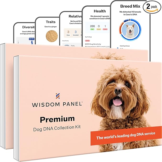 Panel Premium Dog DNA Testing Kit - Most Comprehensive Test - 265+ Health Tests, 430+ Dog Breeds, 50+ Traits, Relatives, Ancestry, 2 Pack