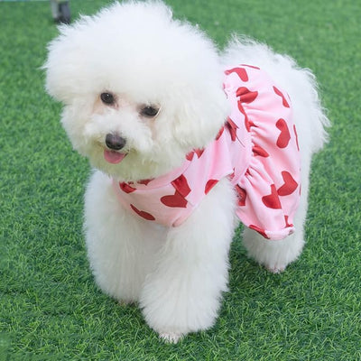 CuteBone Turtleneck Dog Velvet Dress Puppy Skirt Costume Pet Clothes Cat Apparel with Bow Hair Rope for Small Dogs CVD02XS
