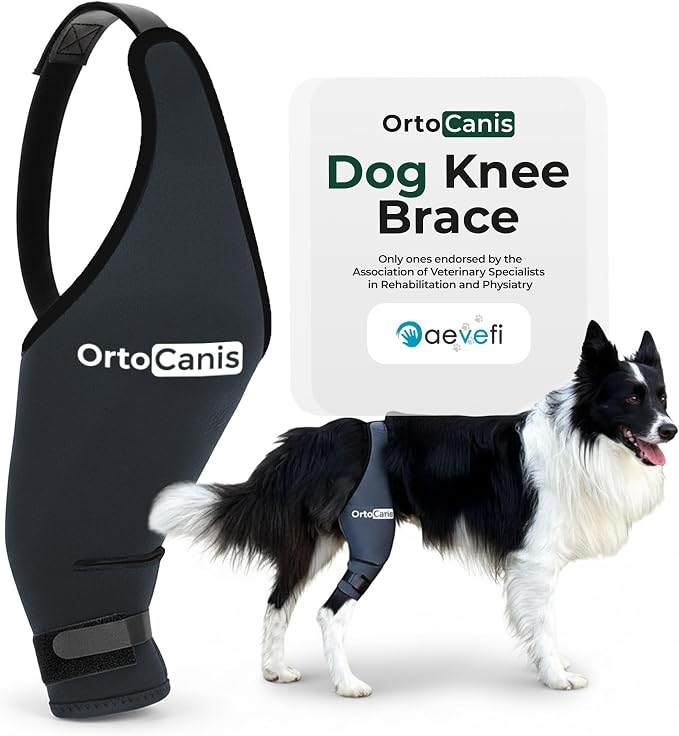 Ortocanis Dog Knee Brace for Hind Leg Support – Flexible Neoprene Knee Brace for Dogs with Joint Instability, Torn ACL, Limping or Osteoarthritis – Comfortable Support for Recovery (X-Mini, Left Leg)