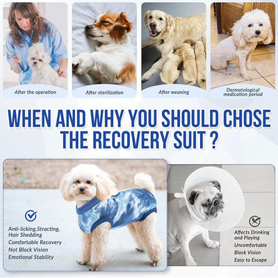 SlowTon Dog Recovery Suit - Surgery Recovery Suit for Female Male Dogs, Dog Onesie After Spay Abdominal Wounds, E-Collar Cone Alternative Prevent Licking Pet Surgical Suit (Blue,XXL)