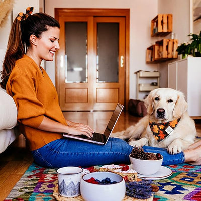 E-Clover Fall Dog Bandana & Scrunchie Set - Thanksgiving Pet Scarf Kerchief Bibs for Medium Large Dogs - Maple Leaves
