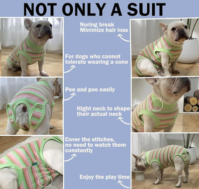 Sebdtico Recovery Suit for Dogs,Dog Surgery Suit Female Spay,Soft Dog Onesie for Surgery Female,Dog Cone Alternative Surgical Recovery Suit Female,Abdominal Wounds Licking Anti Suit for Dogs