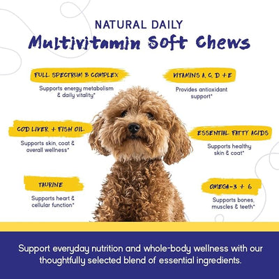 PupGrade Daily Multivitamin for Dogs – All-in-One Supplement with Omega Fish Oil, Vitamins A, C, D, E & B Complex for Everyday Health – 180 Soft Chews