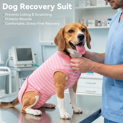 cyeollo Dog Surgery Recovery Suit, Surgical Suit for Female Male Dogs, Soft Dog Onesie, Spay Neuter Body Suits, E-Collar & Cone Alternative, Anti-Licking Wound, Puppy Clothes for Small Dogs, Stripes L
