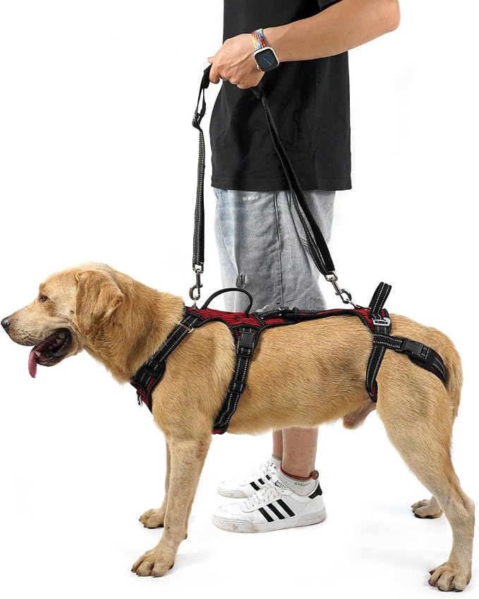 Mobility Dog Lift Harness, Support Sling & Walking Sling for Dogs, Pet Rear Leg Rehabilitation Support Vest, Dog Carrier for Senior Dogs with Joint Injuries, Arthritis, Up Stair (Red, L)