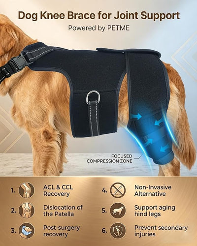2-in-1 Dog Knee Brace and Lift Harness, Adjustable Back Leg Support with Stabilizers for ACL Recovery & Joint Care, Dog Sling for Hind Legs, Mobility Aid for Elderly Dogs with Luxating Patella (L)