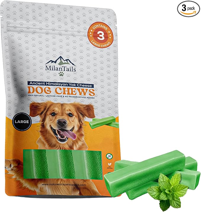 Premium Natural Fruit-Flavored Himalayan Yak Chew for Dogs - 300g, All-Natural, Long-Lasting, Authentic Yak Milk, Healthy Dental Chew (Large, Mint)