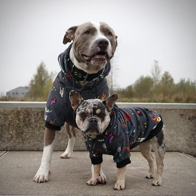 Spark Paws Dog Hoodie – Premium Dog Sweater for Small, Medium, and Large Dogs | Warm Outfits for French Bulldogs, Pitbull, Puppy, Winter Jacket Alternative - Rock and Roll - M