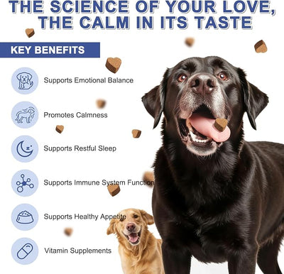 PETNANNY Calming Chews for Dogs with GABA, Calming Bites for Dog Anxiety Relief, Natural Calming Supplement Calming Treats for Pets, Support Relaxation & Composure, Chicken Flavor, 140 Chews