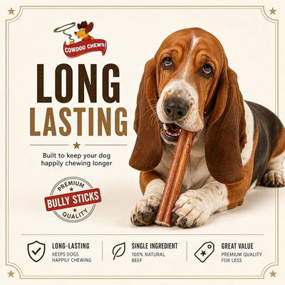 Cowdog Chews Beef Bully Stick: Odor-Free, Fully Digestible Beef Collagen Chews (5-7", 5 Count) - Natural, Grain-Free, Long-Lasting Collagen Bully Stick Substitute for All Dog Breeds