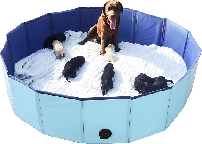 Whelping Box for Dogs Welp Box Whelping Pool,Puppy Whelping Pen for Puppies,Birthing for Dogs (63inch Dia.x12inch H(160x30cm), Blue)