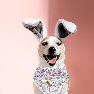 Lionheart Glory Easter Bandana Kerchief - Washable Soft Comfortable Scarf, Square Adjustable for Girl or Boy Dogs - Easter Eggs Rabbits Design for Small Dogs Puppy