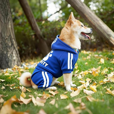 Dog Security Clothes - 4 Legs Jumpsuit Sweatshirt Hoodie - Soft & Warm Winter Outfit Pullover Sweater for Small Medium Large Dogs Cats (Blue, Large)