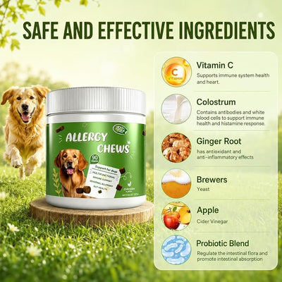 Dog Allergy Chews - Itch Relief for Dogs Immune Support with Colostrum Probiotics - Seasonal Allergies Anti-Itch Skin & Coat Supplement, Itchy Skin & Paw Relief Bites- Chicken Flavor