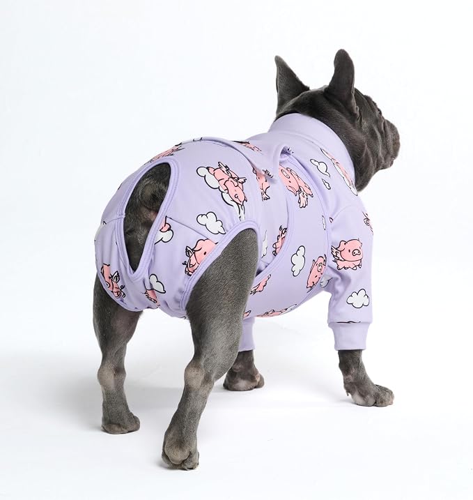 Spark Paws Dog Surgery Recovery Suit – Dog Recovery Suit After Surgery, Anti-Lick Dog Onesie, Abdominal Wound Protector, Soft Cone Alternative for Spay Neuter Male Female Pet Recovery - Pigs Fly - L