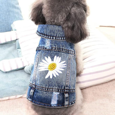 Dog Denim Jacket with Embroidered Daisy, Ripped Vintage Jean Vest for Small Dogs, Puppy, Pugs, Chihuahuas, Spring Summer Fall Festival Outfit, XS (Fits Chest 9-10")