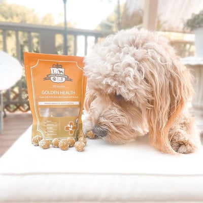Lord Jameson: Golden Health 6 oz - Dog Wellness Treats, Organic Soft & Chewy No-Bake Bites, Anti-Inflammatory, Oats, PB & Coconut, Preservative Free