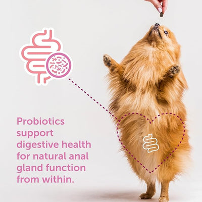 Gland-Ease Dog Canine Chews (for Small Dogs) | For dogs prone to scooting - Promotes stool consistency - Digestive & fiber support