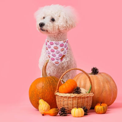 PTDECOR Halloween Dog Bandana, Pink Skeleton Pumpkin Reversible Holiday Dog Scarf, Triangle Female Halloween Bandanas for Small Dogs Puppies Cats(Small)