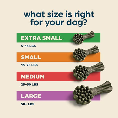 Chewsday Fresh Mint Flavor Dental Chews, Extra Small Dog Treats, Healthier Teeth and Fresher Breath, Enzyme Powered for Advanced Cleaning, Made in the USA, 24 Count