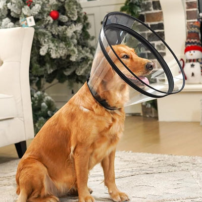 Dog Cone, Transparent Recovery Collar for Large Dogs, E Collar After Surgery to Stop Licking, Depth Adjustable Soft Cone Not Block Vision Patented (XL-Long)