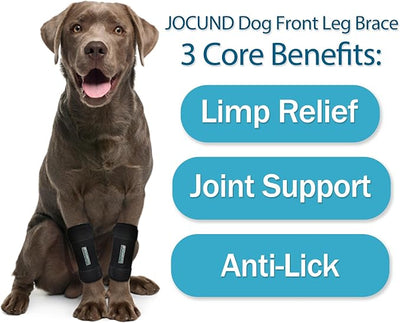 Dog Front Leg Brace, Pair of Dog Leg Brace with Metal Strips, Canine Front Leg Hock Wrap Sleeve for Carpal Support, Protects Wounds Brace Heals and Prevents Injuries and Sprains (S/M)