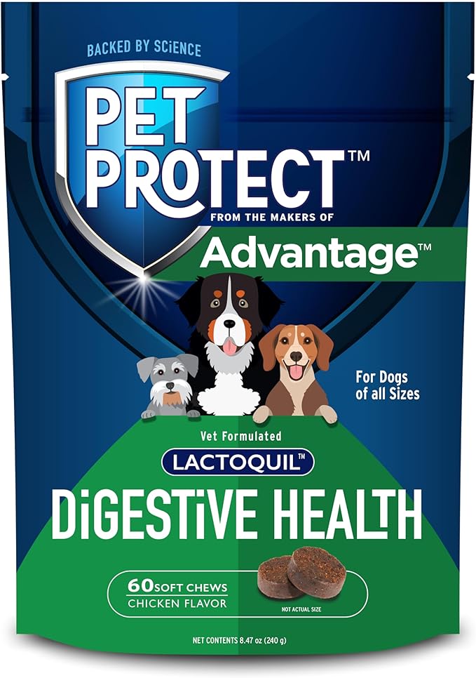 Digestive Health Supplement with Probiotics for Dogs, Vet-Formulated Lactoquil, Chicken-Flavored Soft Chews (60 Count)