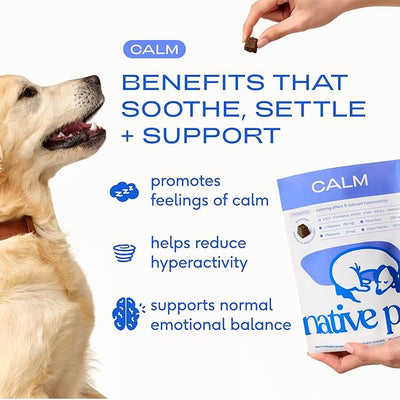 Native Pet Calming Chews for Dogs Medium Breed - 60 Calming Dog Treats - Hemp Seed, Melatonin, L-Theanine - Supports Calm Behavior - 90 Chews