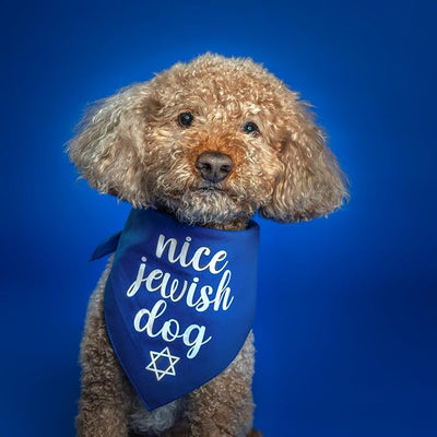 Nice Jewish Dog Bandana | 100% Cotton | Made in USA | Passover | Hanukkah | Yom Kippur | Rosh Hashanah | Jewish Celebration | Bar & Bat Mitzvah | Green, X-Small (930)