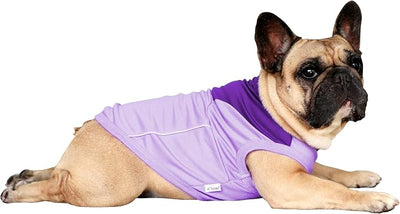 iChoue French Bulldog Summer Cooling Shirt for Dogs UV Sun Protection Vest Sleeveless Breathable Tank Top English Pug Purple - Large Plus