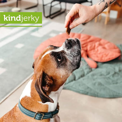 V-dog Kind Jerky - 100% Vegan Jerky Dog Treats - Plant Based Protein and Superfoods - 8 Ounce - All Natural - Made in The USA,(Pack of 2)