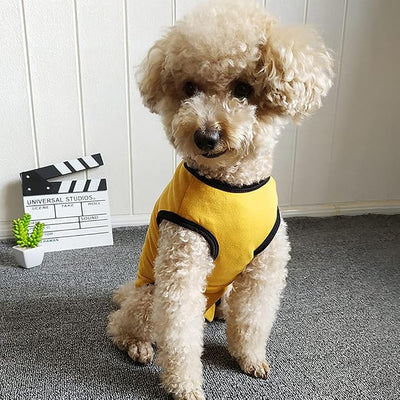 Dog’s Recovery Suit Post Surgery Shirt for Puppy, Wound Protective Clothes for Little Animals(Yellow-l)