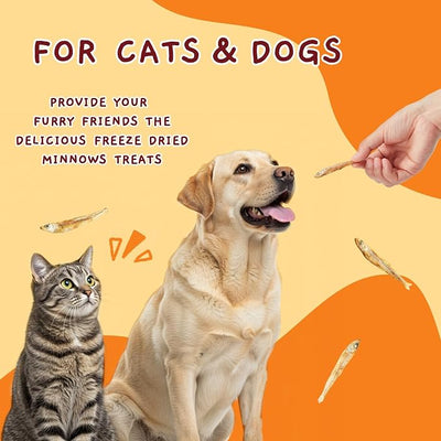 Jungle Calling Freeze Dried Minnows for Cats & Dogs, Single Ingredient Fish Cat & Dog Treats, High Protein Grain Free Pet Training Snacks, 2 oz
