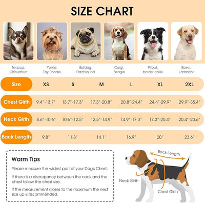 Queenmore Dog Winter Coat, Cold Weather Fleece Jacket for Dogs, Waterproof Reflective Reversible, for Small, Medium and Large Dogs (Green, XS)