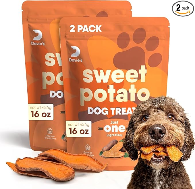 Davie's Sweet Potato Dog Treats - Healthy Treats Made in USA Only, Natural, Healthy Dog Chews, Low Fat, 1 lb Bag - Pack of 2