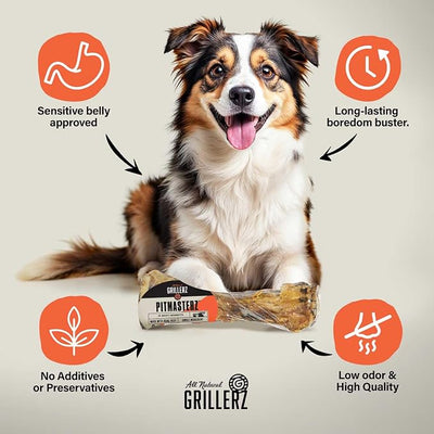 Scott Pet Grillerz Beef Mammoth Bone, 1 Count, Beef Bones for Dogs, Rawhide Free, Dog Chew for Healthy Teeth & Gums, High Protein, Easy to Digest, Long Lasting, Natural Treats for All Breeds