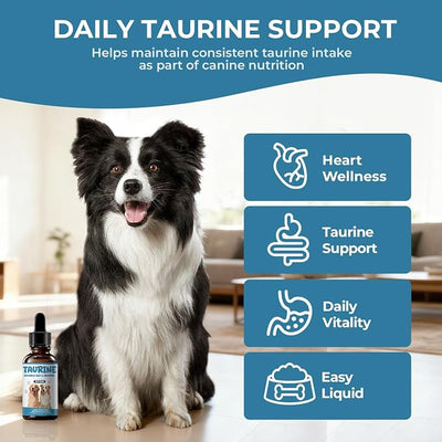 Taurine Supplement for Dogs Liquid Drops, Dog Taurine with Coenzyme Q10 & L-Carnitine, Supports Heart Function, Energy & Daily Vitality, 2 fl oz