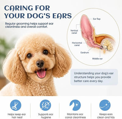 Dog Ear Powder for Hair Removal Kit – 42g Ear Powder for Dogs with 4.8" Straight Grooming Tweezers, Helps Remove Excess Ear Hair & Reduce Odor for Poodles, Schnauzers & Other Breeds