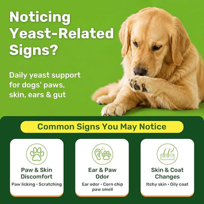 Puyrzoe Yeast Infection Treatment for Dogs, Itchy Skin, Paw Licking, Ear Odor & Allergy Relief, Natural Dog Yeast Infection Treatment, 200 Soft Dog Yeast Treatment Chews with Probiotic, Chicken Flavor