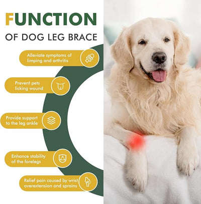 Pair of Dog Leg Braces for Front Hock Joint, Dog Front Leg Wrist Brace with Metal Spring Inserts, Dog Leg Sleeve with Reflective Straps, Prevents Injuries and Sprains, XS/S
