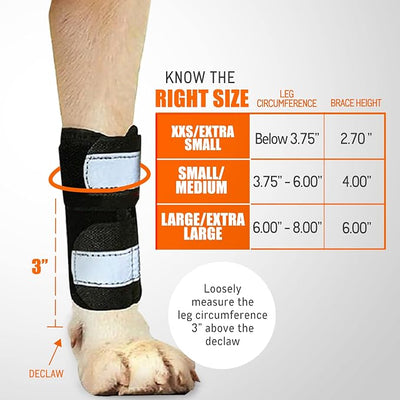NeoAlly - 3-in-1 Dog Splint Front Leg Support, Front Leg Brace with Rigid and Spring Inserts, Dog Leg Sleeve for Pet Mobility, Stability, & Protection, With Reflective Straps, XXS-XS, 1 Pair