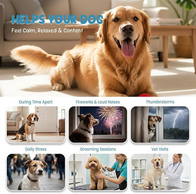 Calming Chews for Dog, Helps Support Relaxation & Stress Relief for Separation, Thunder & Travel, with Melatonin, Natural Soft & Tasty Chews, 200 Count