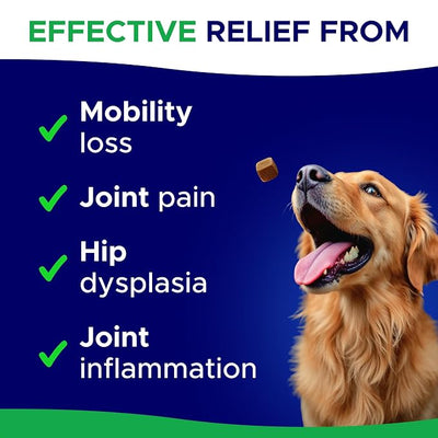 Dog Joint Supplement Large Breed - Glucosamine & Chondroitin Treats for Dogs - Supplement w/Omega-3, MSM - Made in USA - Joint Pain Relief - 240 Mobility Chews