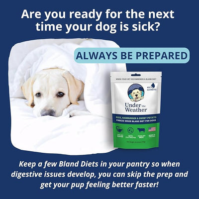Under the Weather Easy to Digest Bland Diet for Sick Dogs | Contains Electrolytes | Gluten Free, All Natural, Freeze Dried 100% Human Grade Meats | 6 Pack - Hamburger, Rice & Sweet Potato