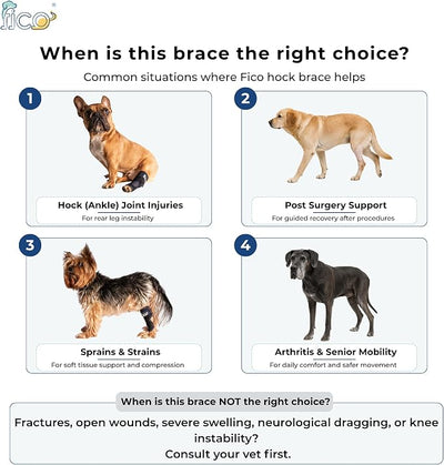 Dog Hock Brace for Ankle Support & Arthritis, Vet Approved Dog Back Leg Brace, Adjustable with Removable Splints, Orthopedic Support for Injuries, Sprains & Post-Surgery Recovery (Medium)
