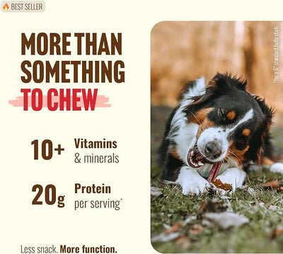 Natural Farm Odor Free Bully Sticks (2-3 Inch, 1 Pound) for Small & Medium Dogs - 100% Beef Chews for Pups, Non-GMO, Grain-Free, Fully Digestible Long Lasting Dog Treats