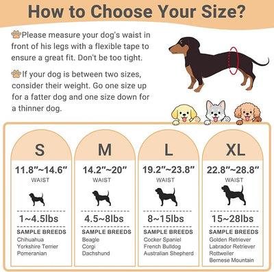 Mkono Male Dog Belly Band Wraps Washable Dog Diapers Male for Small and Medium Dogs, Waist 19.2 Inches to 23.8 Inches(3 Pack,Blue,White,Yellow)